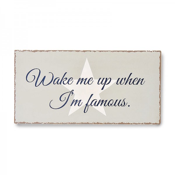BOLTZE Metallschild Wake me up